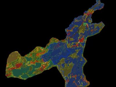 Visualizzazione coordinata